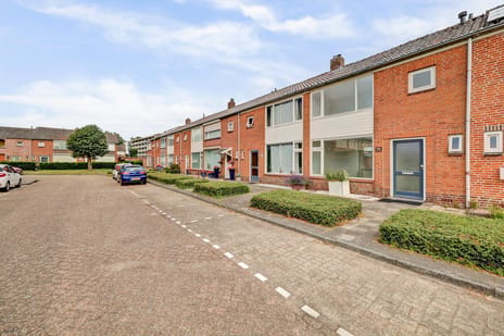 Reigersbekstraat thumbnail