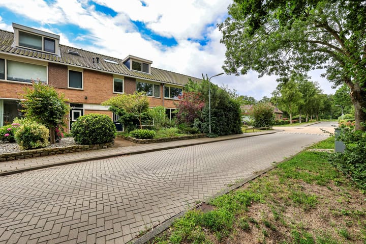 Foto 3 van Duindoornweg 6