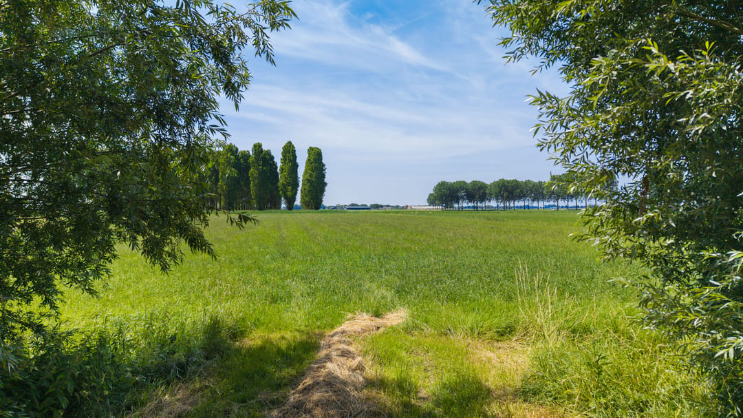 Foto 41 van Beeckendael 46