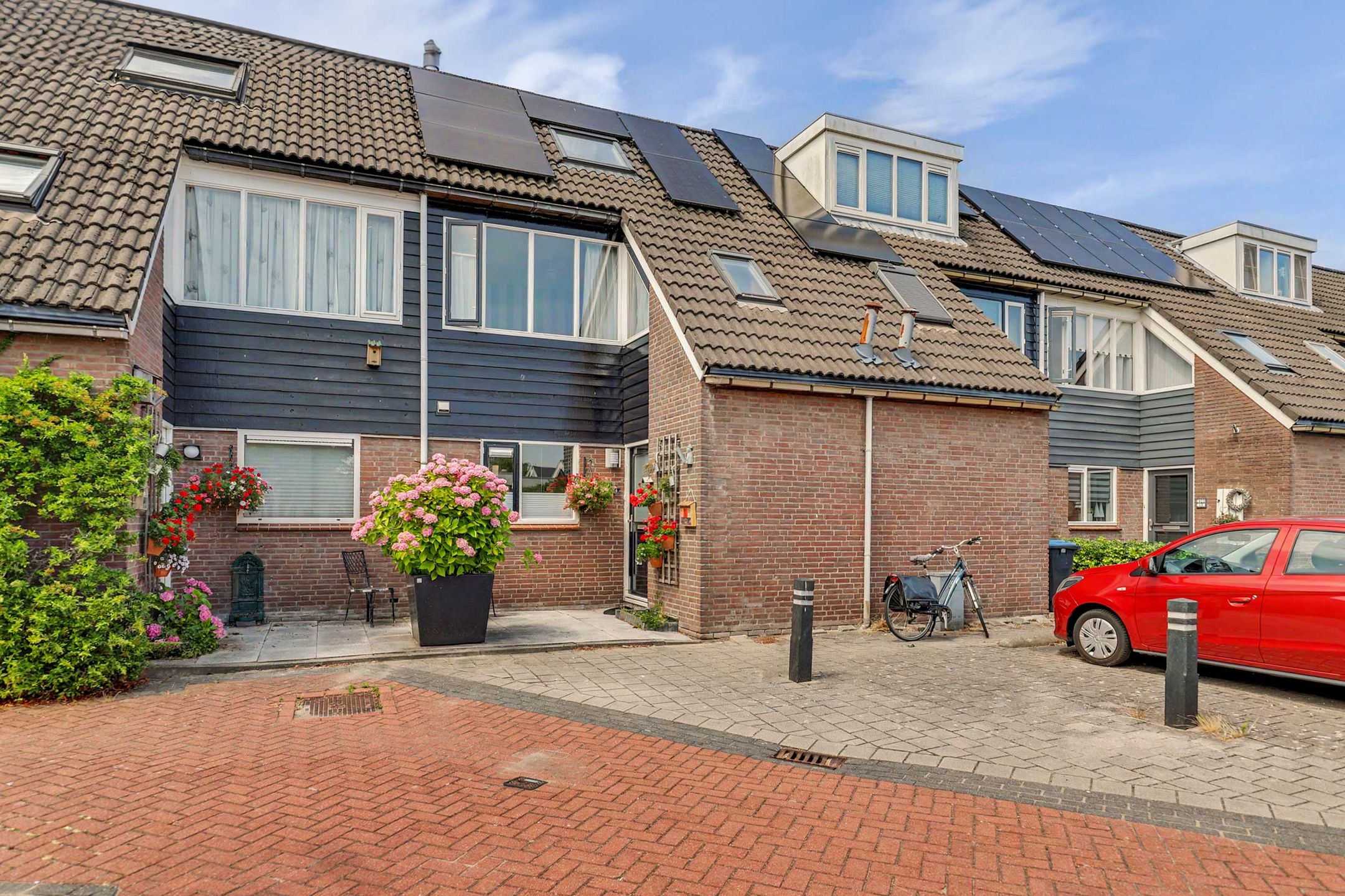 Zwanebloem 14 