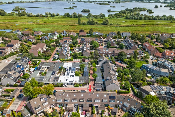 Foto 2 van Zwanebloem 14