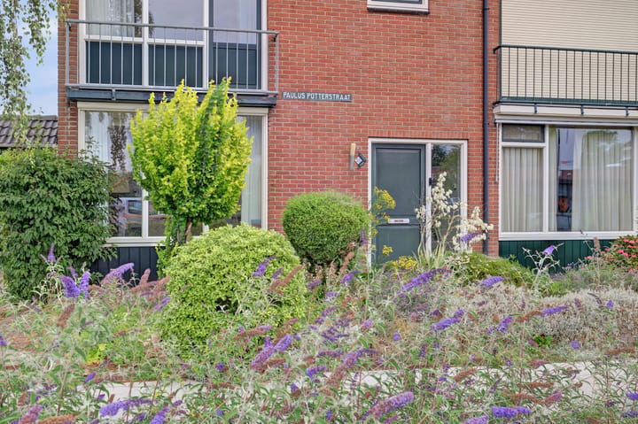 Foto 4 van Paulus Potterstraat 55