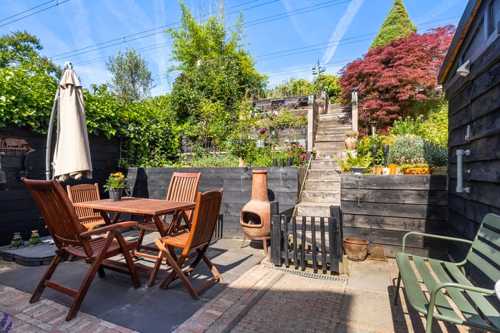 Foto 3 van Vuursalamander 24