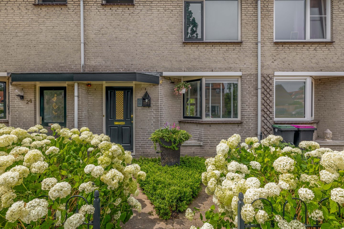 Foto 5 van Gentiaan 22