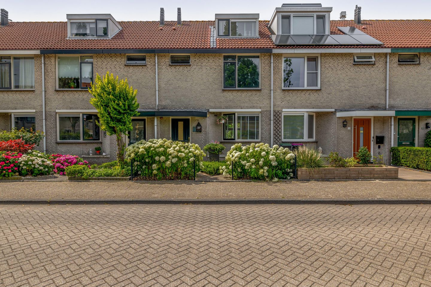 Foto 40 van Gentiaan 22