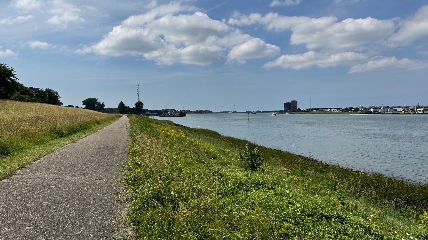Foto 44 van Elzenlaan 19