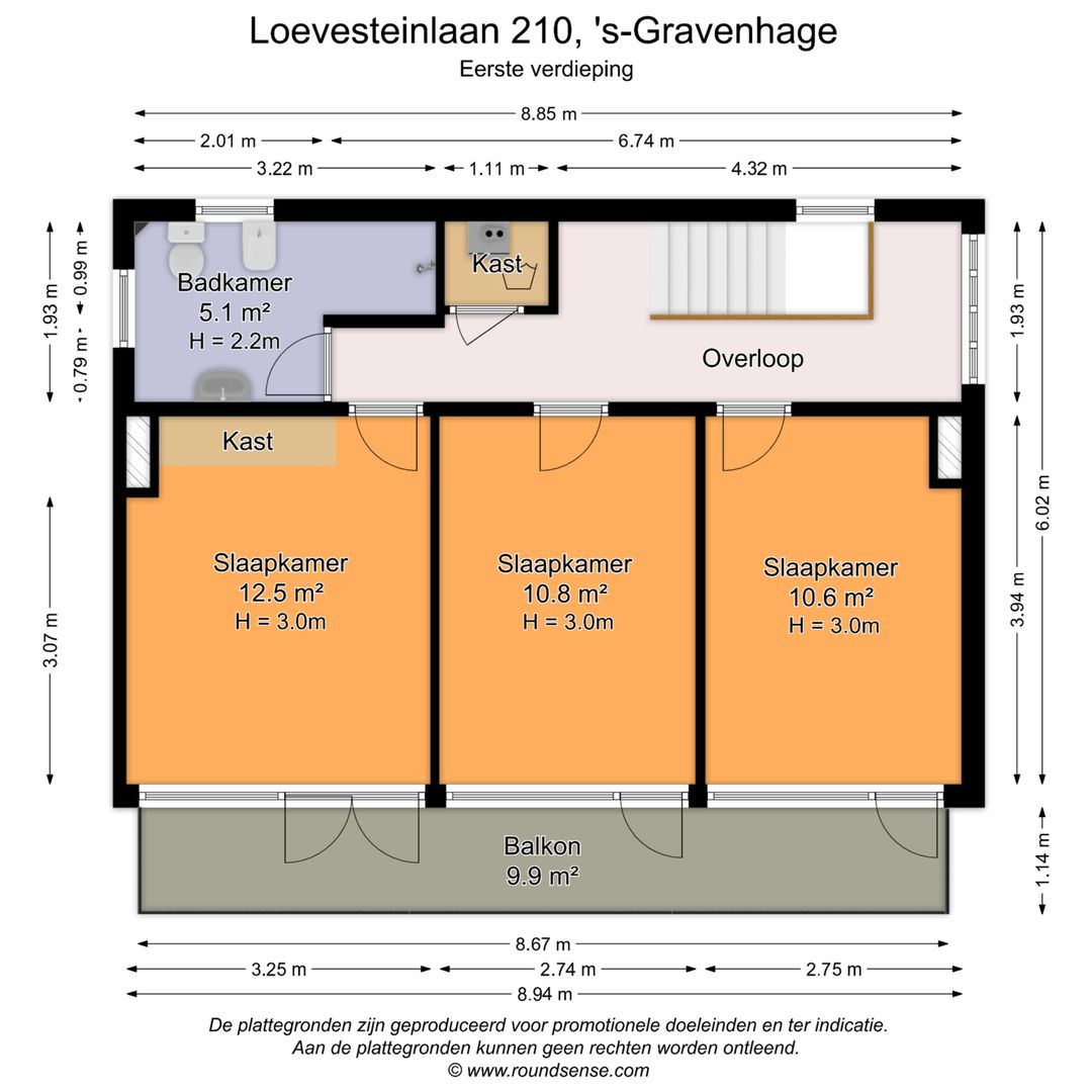 Foto 46 van Loevesteinlaan 210
