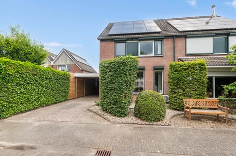 Sleedoornstraat thumbnail