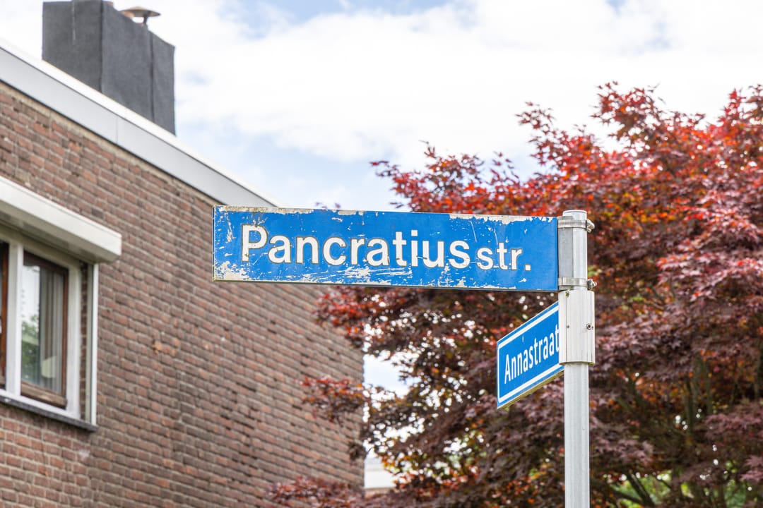 Foto 2 van Pancratiusstraat 6