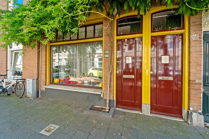 Appartement te koop: Newtonstraat 280, 'S-Gravenhage