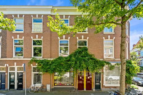 Newtonstraat thumbnail