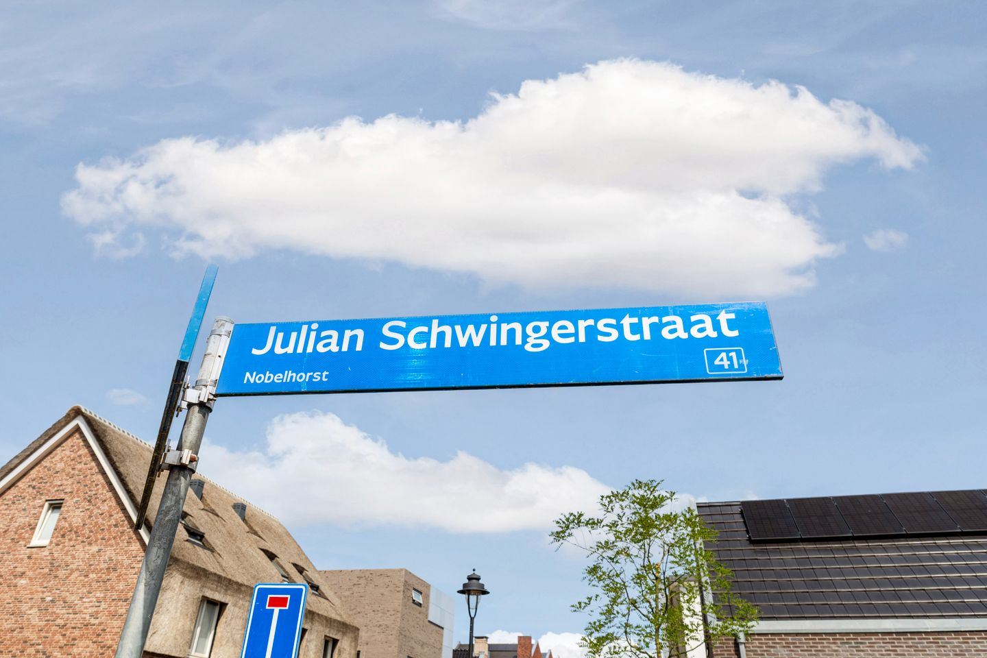 Foto 40 van Julian Schwingerstraat 6