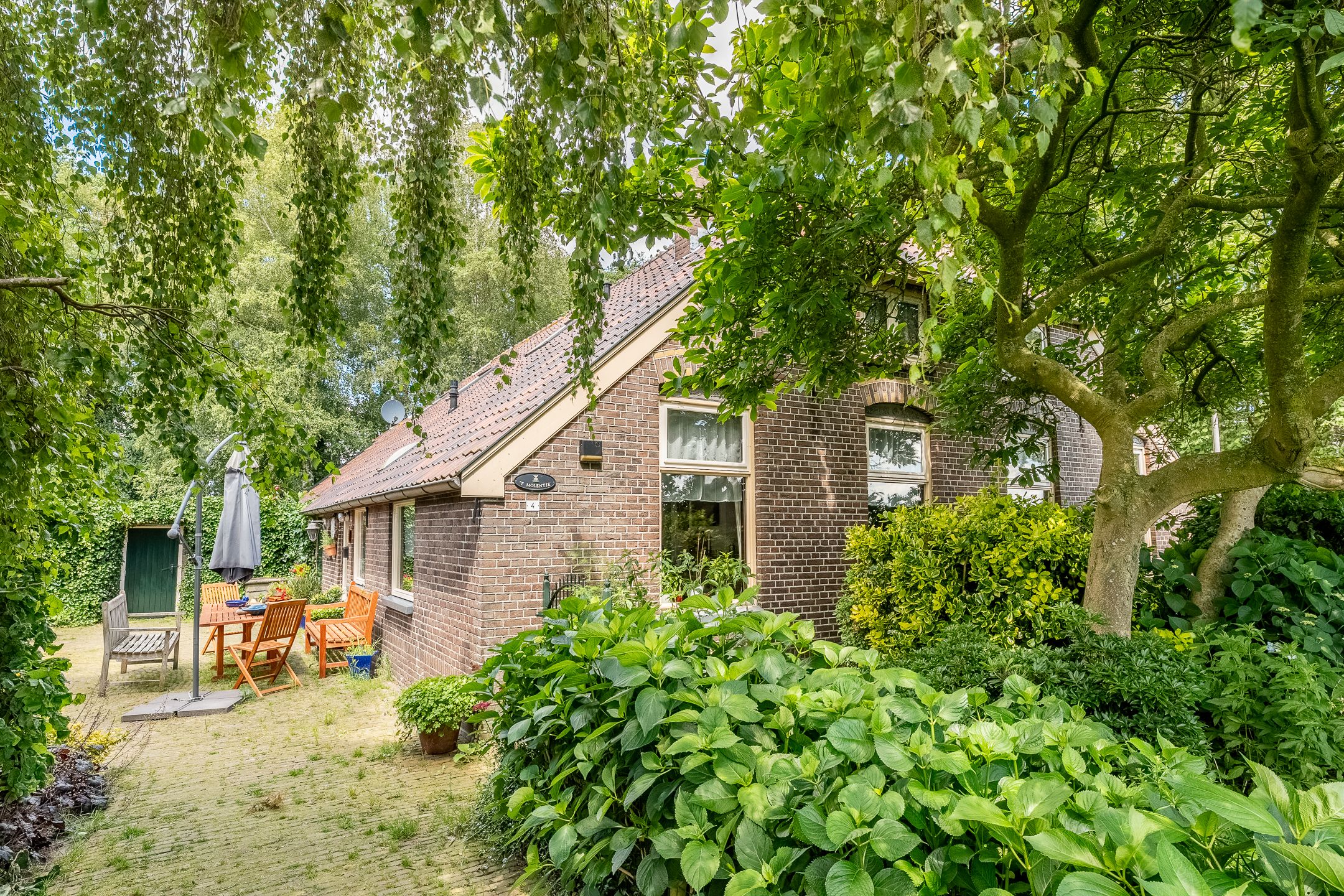 De Brandt 4 