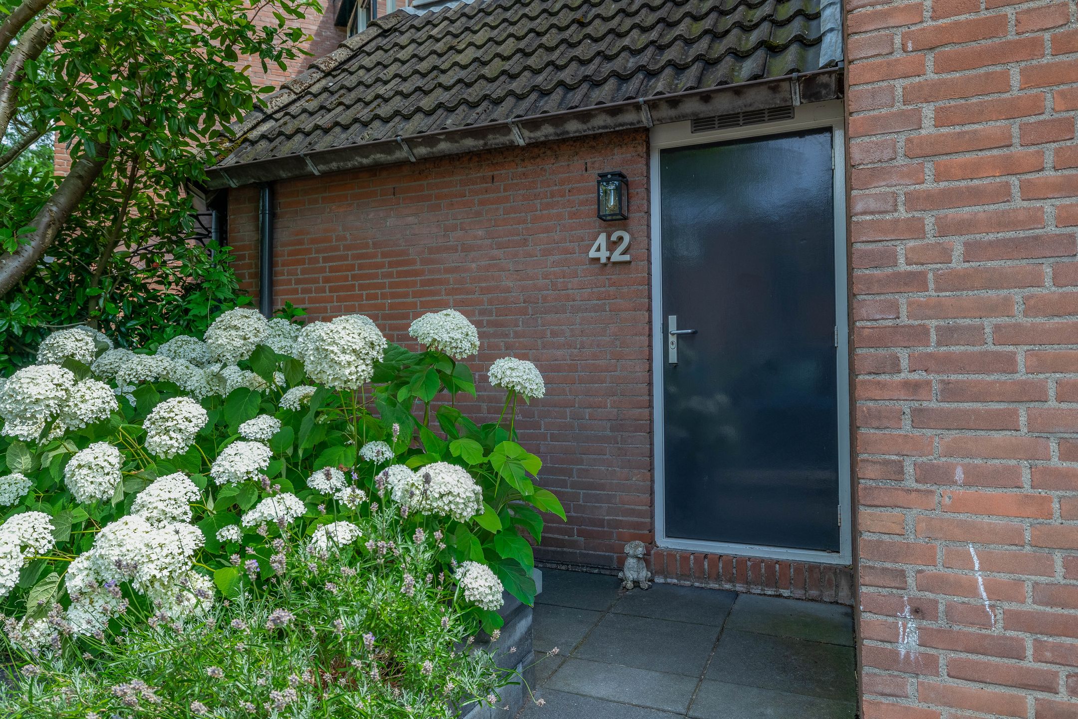Foto 6 van Vederkruid 42