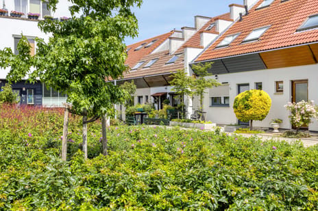 Sibeliusstraat thumbnail