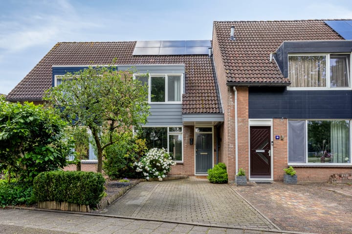 Foto 4 van Zeezwaluw 3