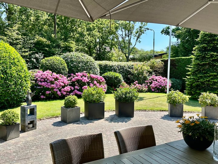 Foto 2 van Chrysantenlaan 6