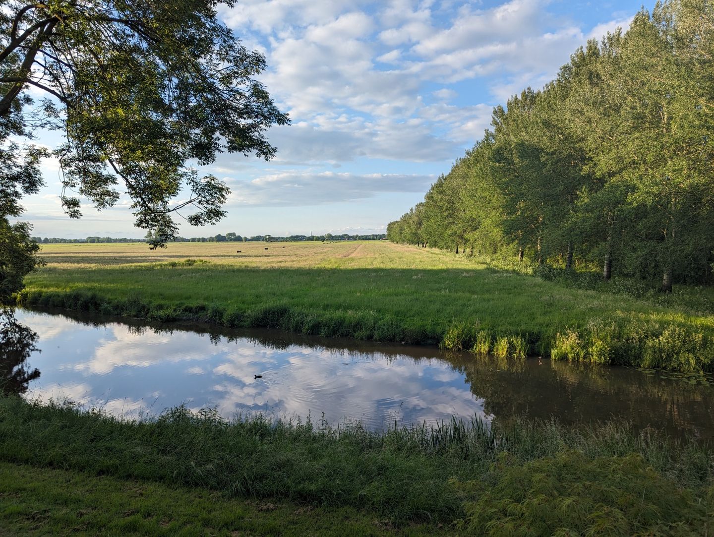 Photo 40 of Aquamarijnpad 30