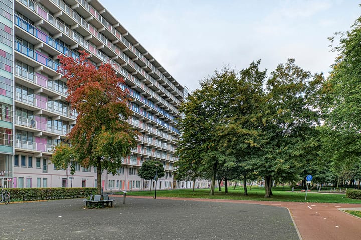 Hogevecht 87