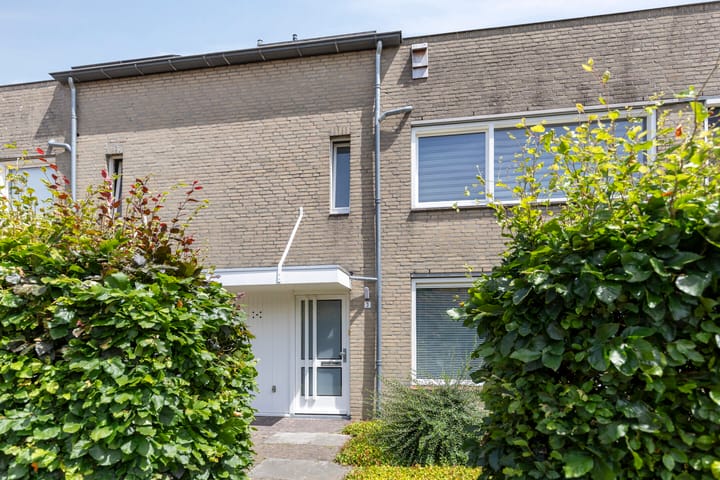 De Vleeshouwer 3