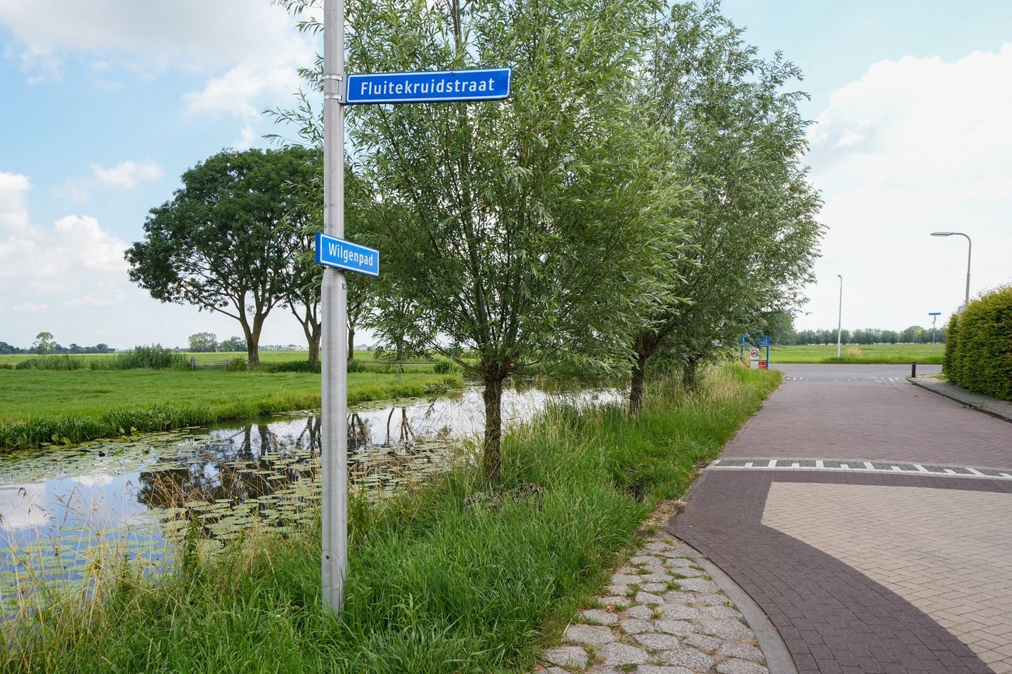 Foto 44 van Fluitekruidstraat 16