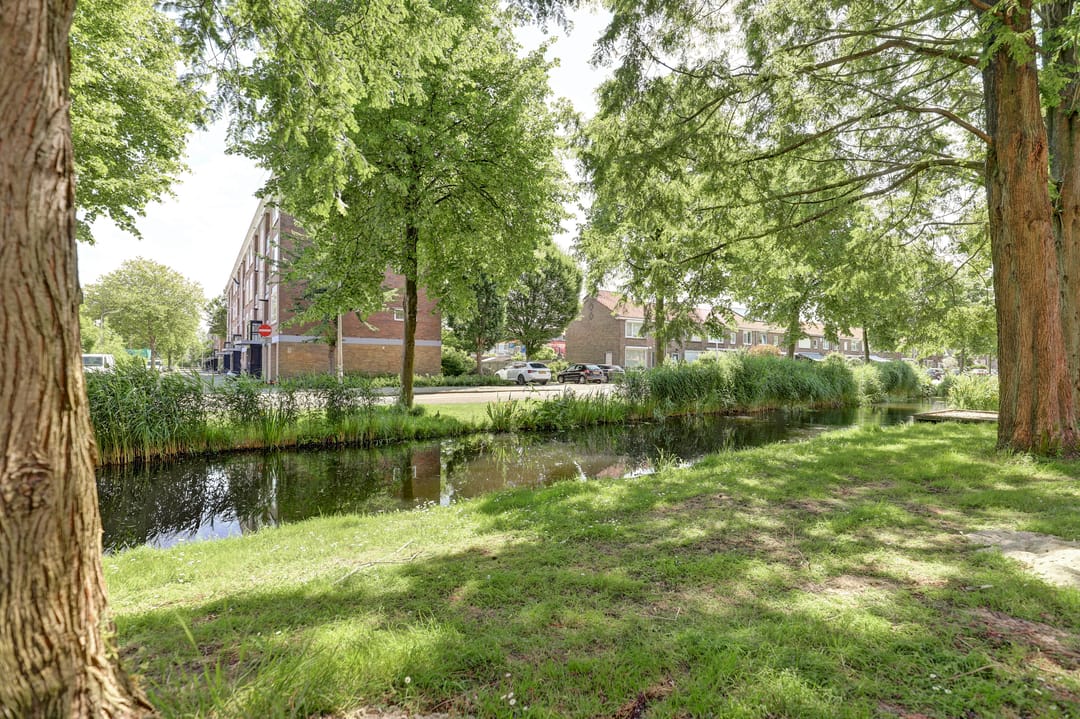 Foto 41 van Groen van Prinsterersingel 29