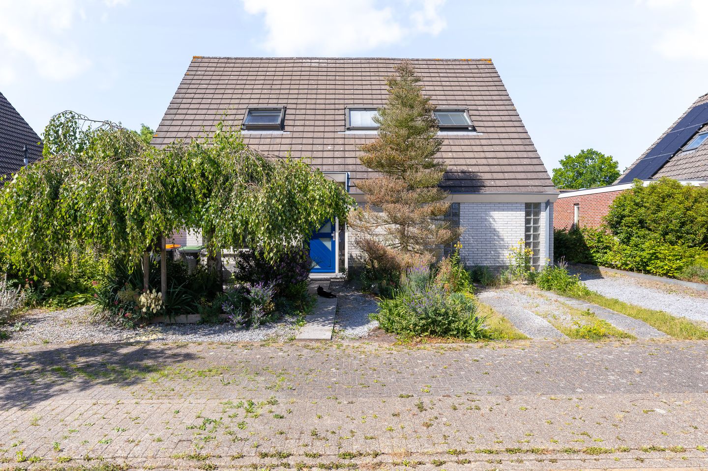 Foto 5 van Koperwiek 4