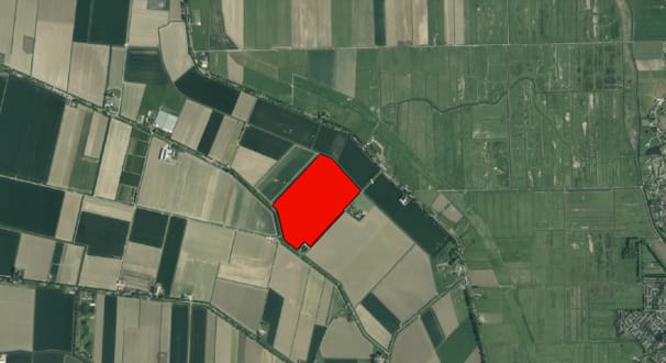 Boomdijk