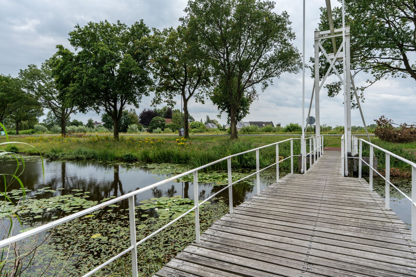 Foto 50 van Delf 47