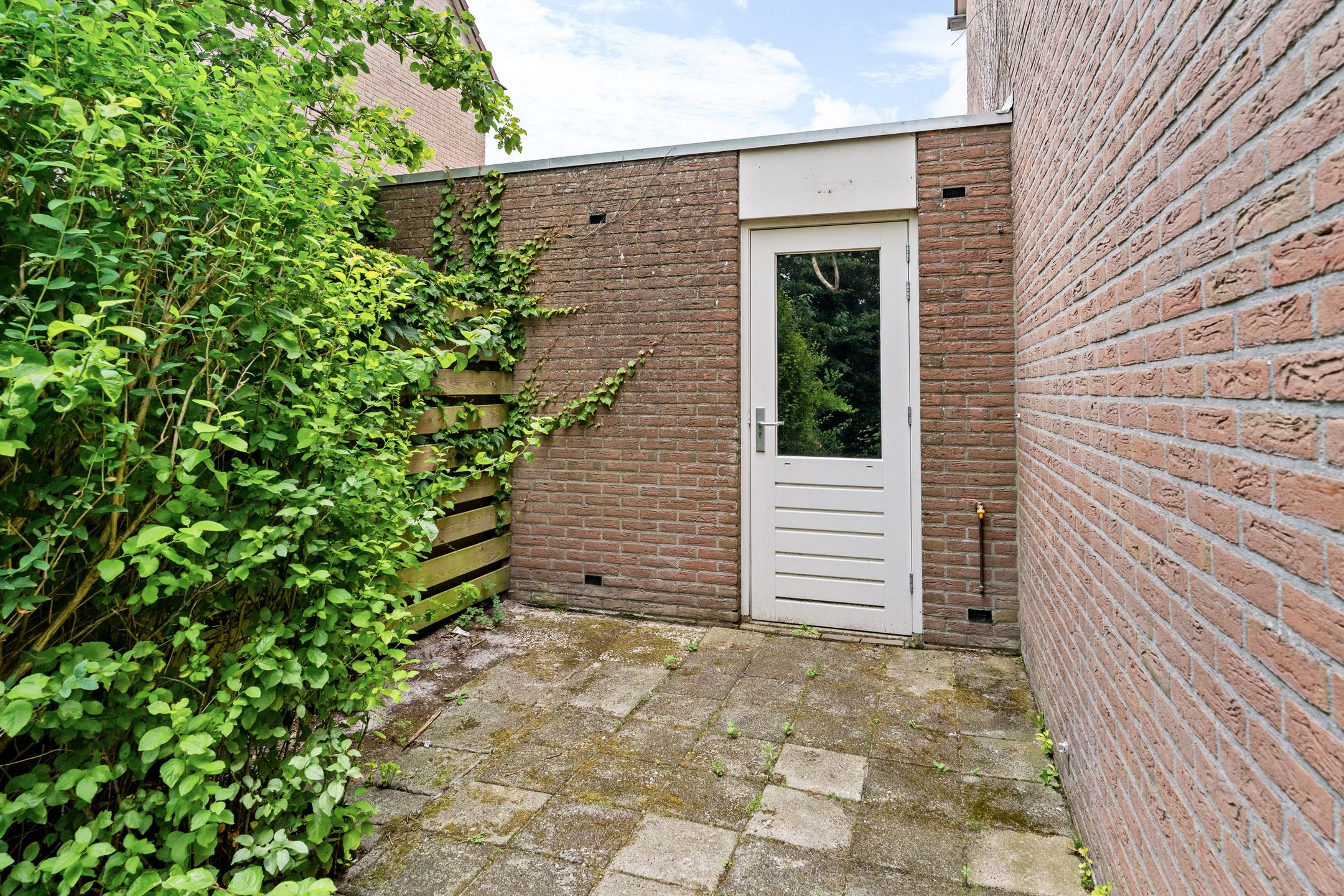 Foto 24 van Barten 51
