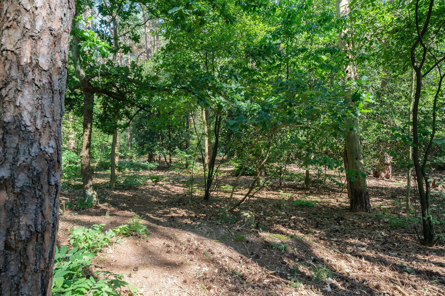 Photo 35 of Baarnseweg 46