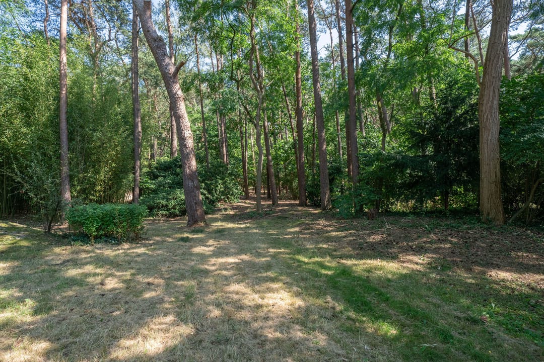 Photo 38 of Baarnseweg 46