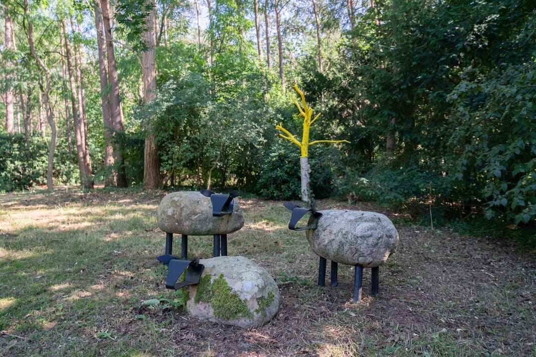 Photo 37 of Baarnseweg 46