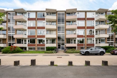 Adriaan van Ostadestraat thumbnail