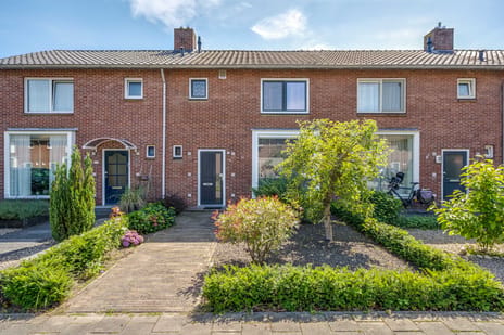 Violenstraat thumbnail
