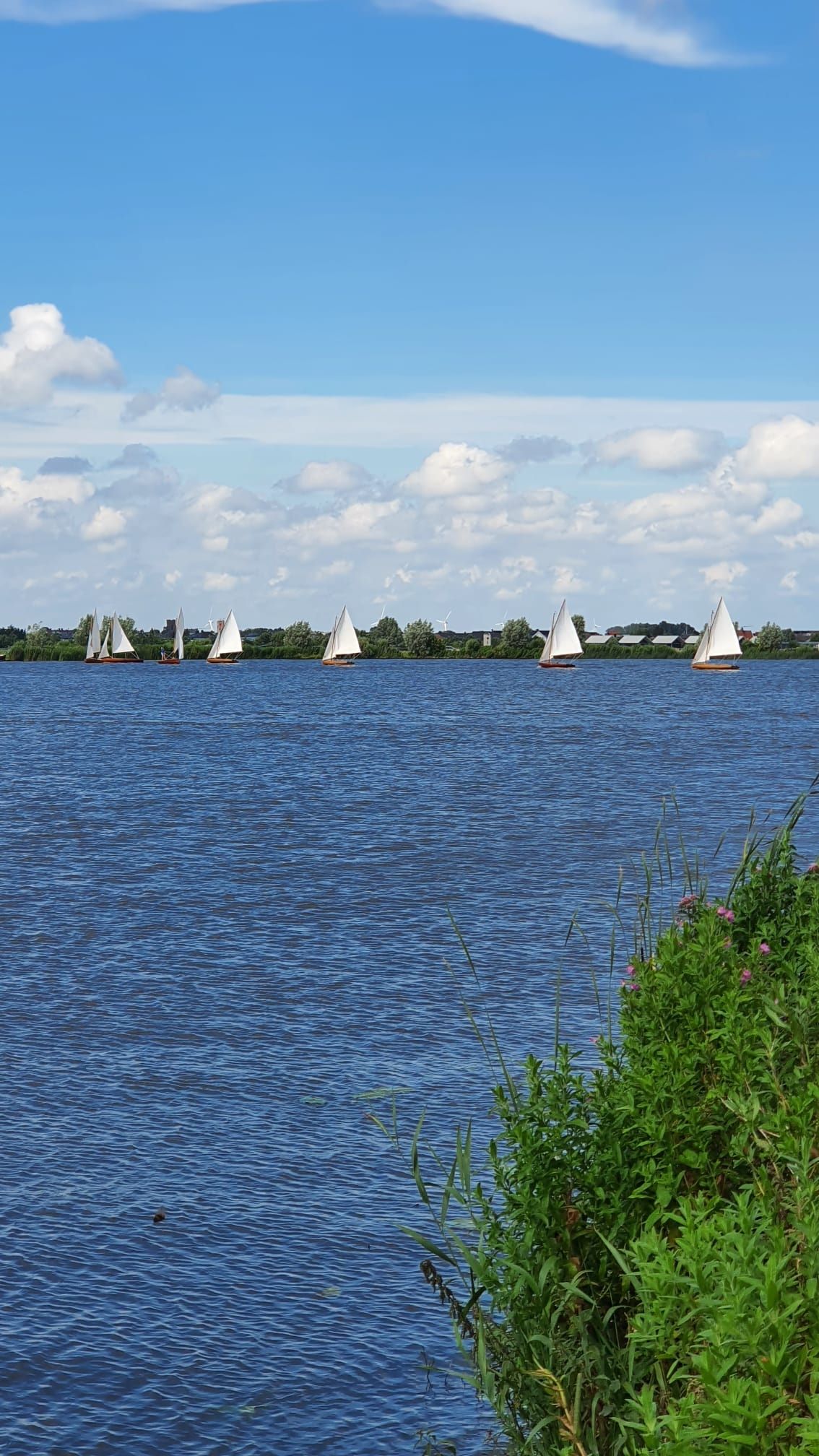 Photo 35 of Oudendijkseweg 25-S3