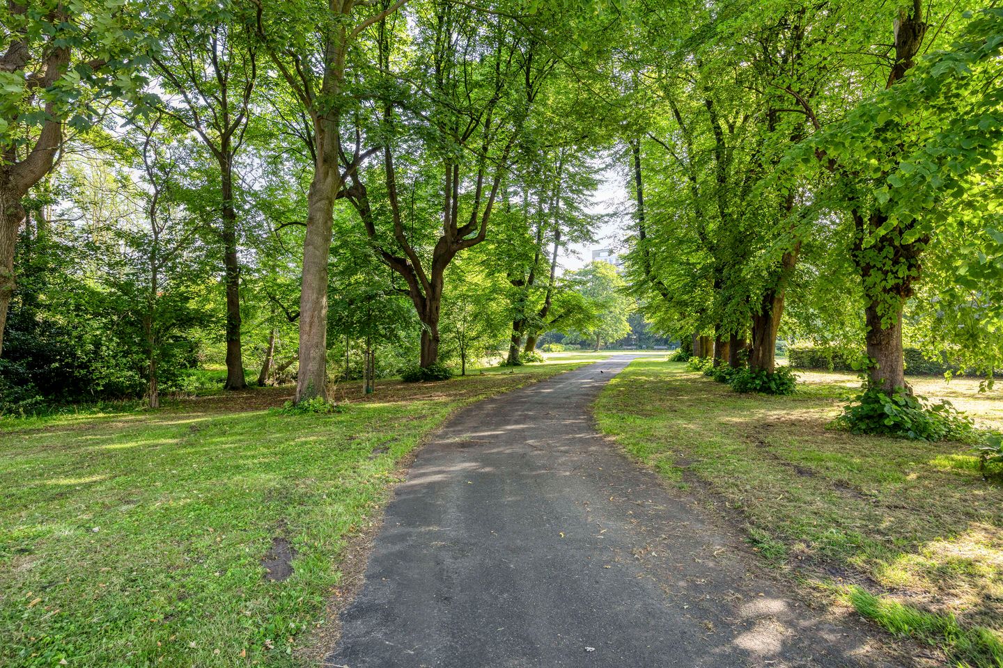 Foto 35 van Volendamlaan 907