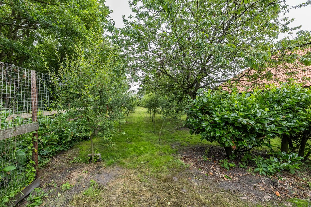 Photo 77 of Tripscompagniesterweg 22
