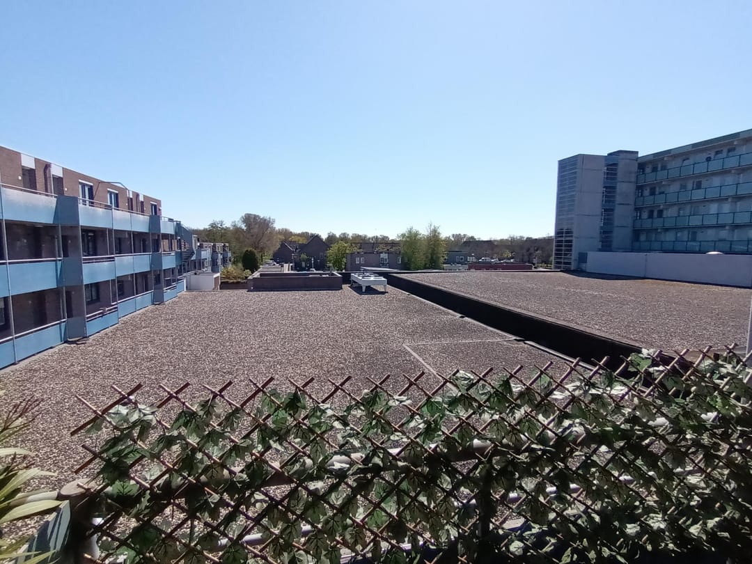 Photo 16 of Korenbloem 92