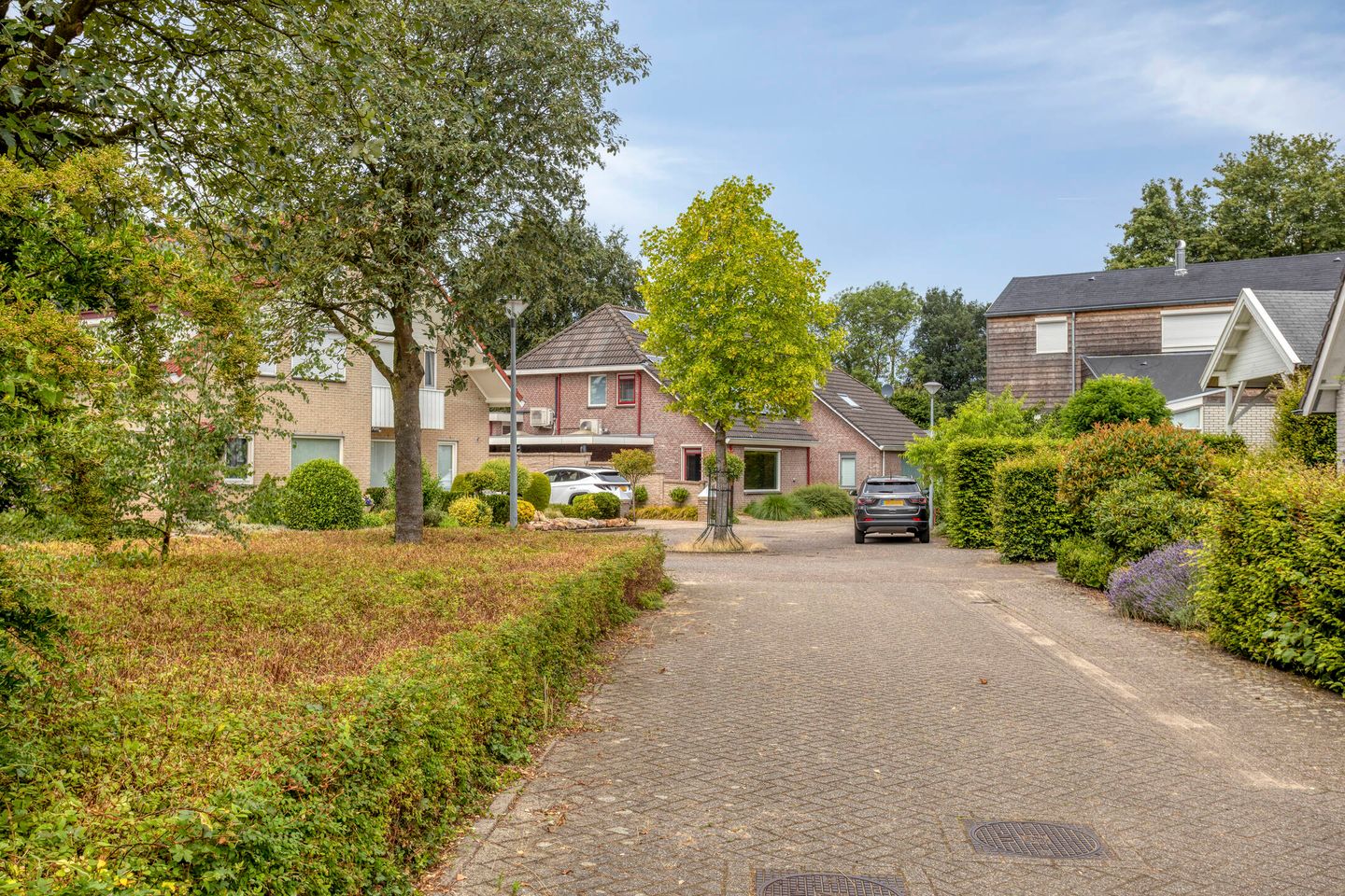 Foto 49 van Rietmaat 21