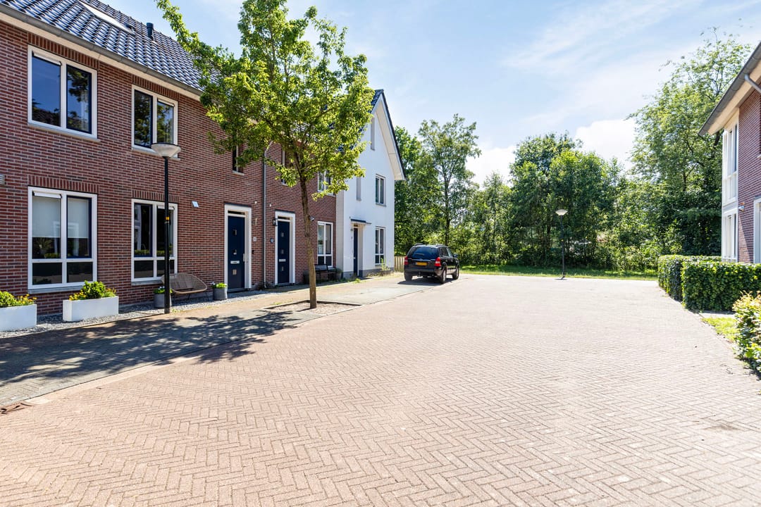 Photo 31 of Parelhoender 52