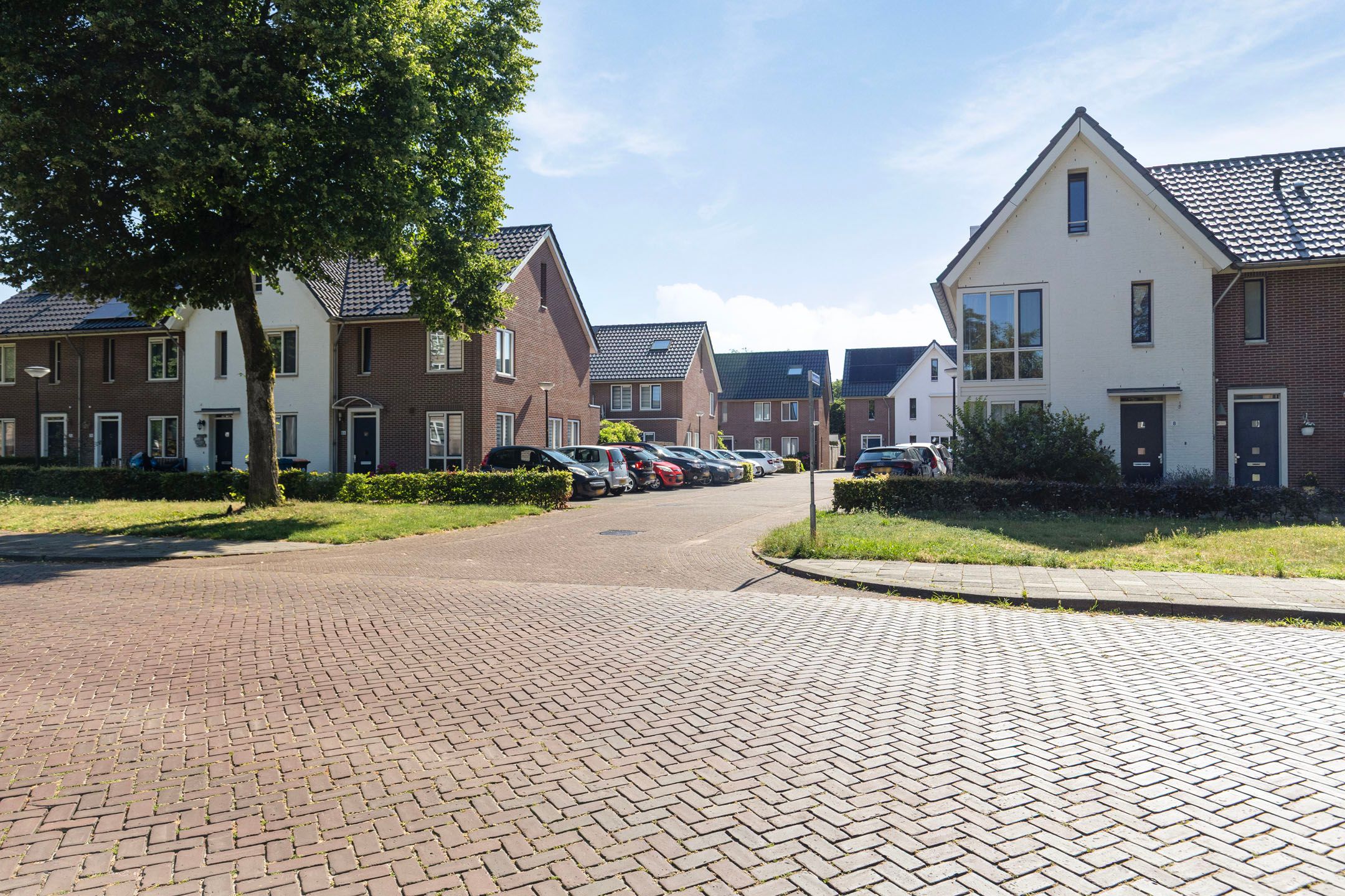Photo 33 of Parelhoender 52