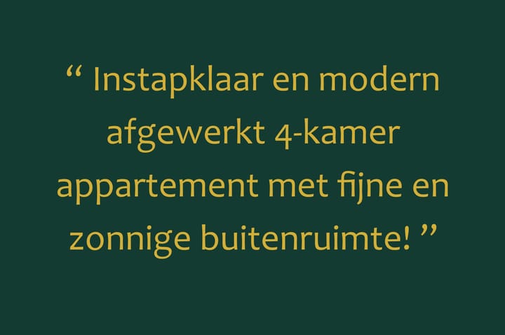 Foto 5 van Mr. Heemskerkstraat 14