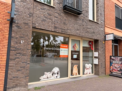 Bekijk foto's