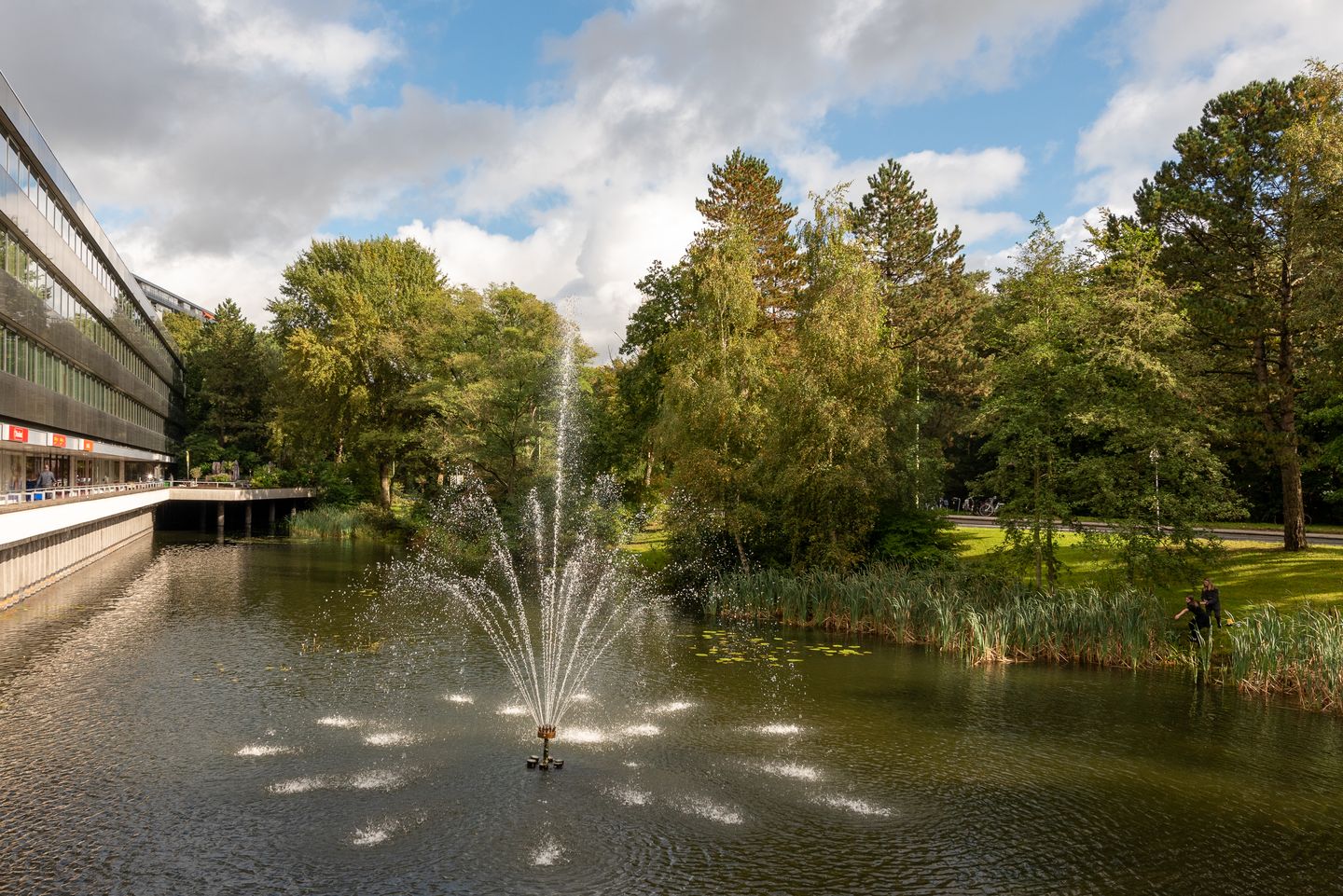 Foto 4 van Laan van Vollenhove 860