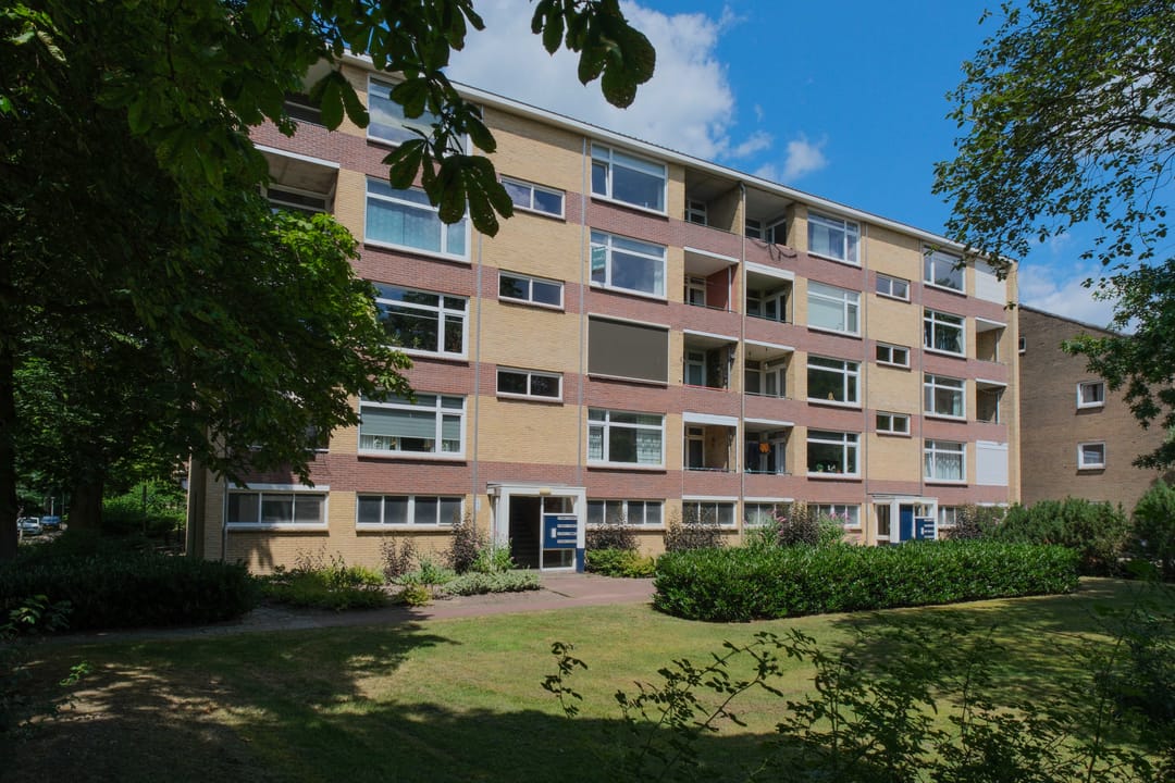 Foto 1 van Dommelstraat 24
