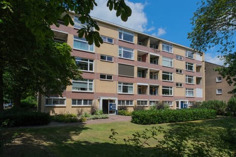 Dommelstraat thumbnail
