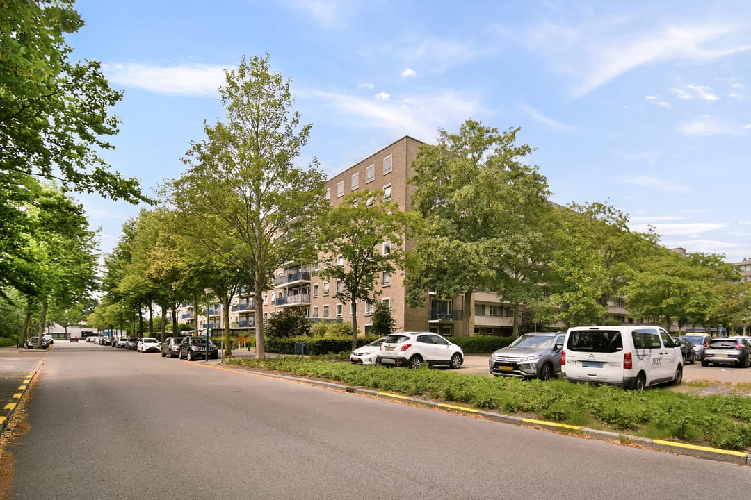 Foto 2 van Aert van Neslaan 210