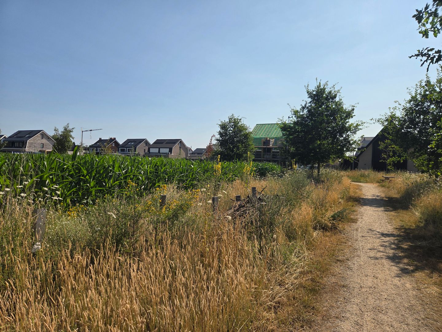 Foto 20 van Veenweg 139