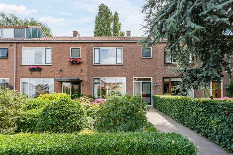 Prunusstraat thumbnail